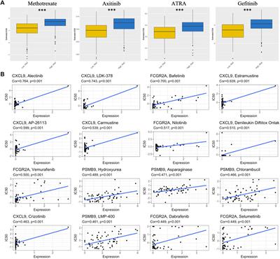 Frontiers Identification And Validation Of A Ttn Associated Immune